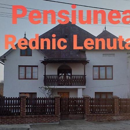 Pensiunea Rednic Lenuta Giulesti Bagian luar foto