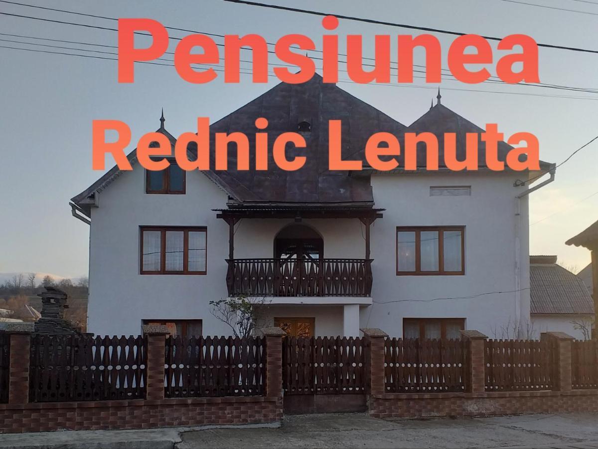 Pensiunea Rednic Lenuta Giulesti Bagian luar foto