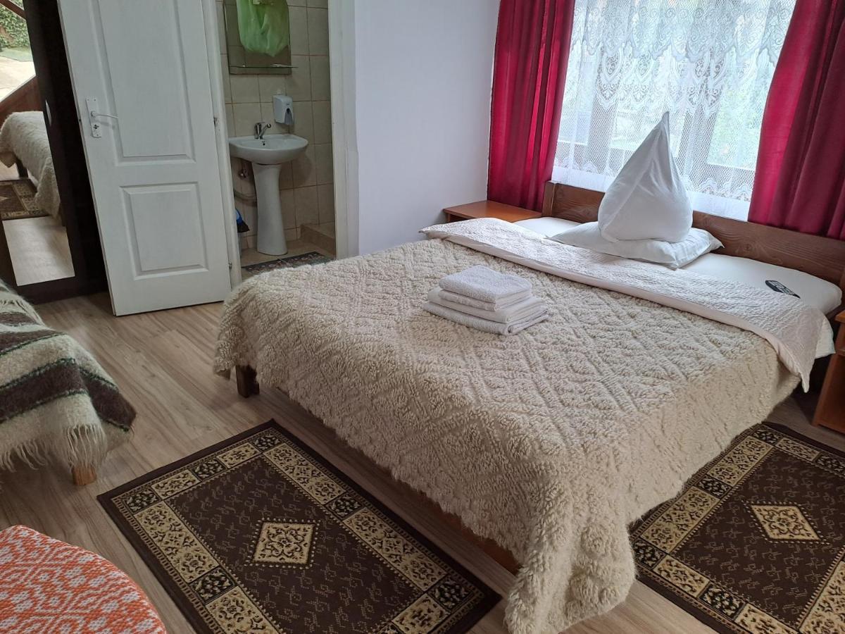 Pensiunea Rednic Lenuta Giulesti Bagian luar foto