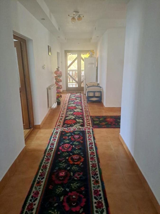 Pensiunea Rednic Lenuta Giulesti Bagian luar foto