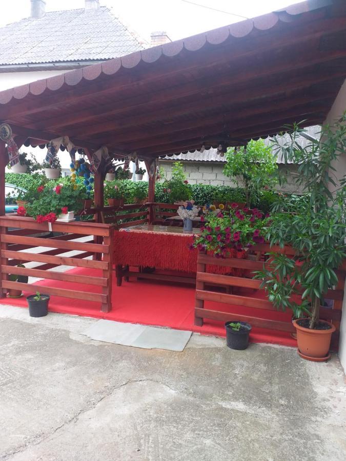 Pensiunea Rednic Lenuta Giulesti Bagian luar foto